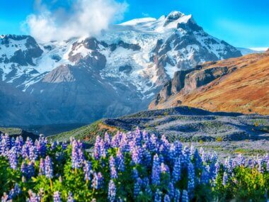 Parc national de Skaftafell, entre nature verdoyante et mont enneigés ©Shutterstock