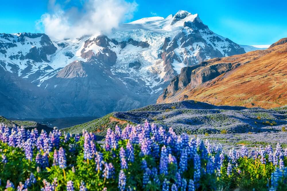 Parc national de Skaftafell, entre nature verdoyante et mont enneigés ©Shutterstock
