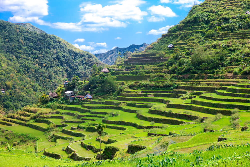 Les "terrasses de riz" les rizières de Batad, à Banau, sur l'île de Luçon ©Shutterstock