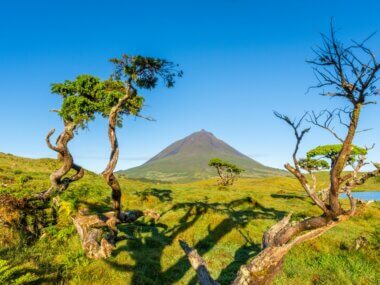 Le Mont (volcan) Pico, sur l'île éponyme ©Shutterstock