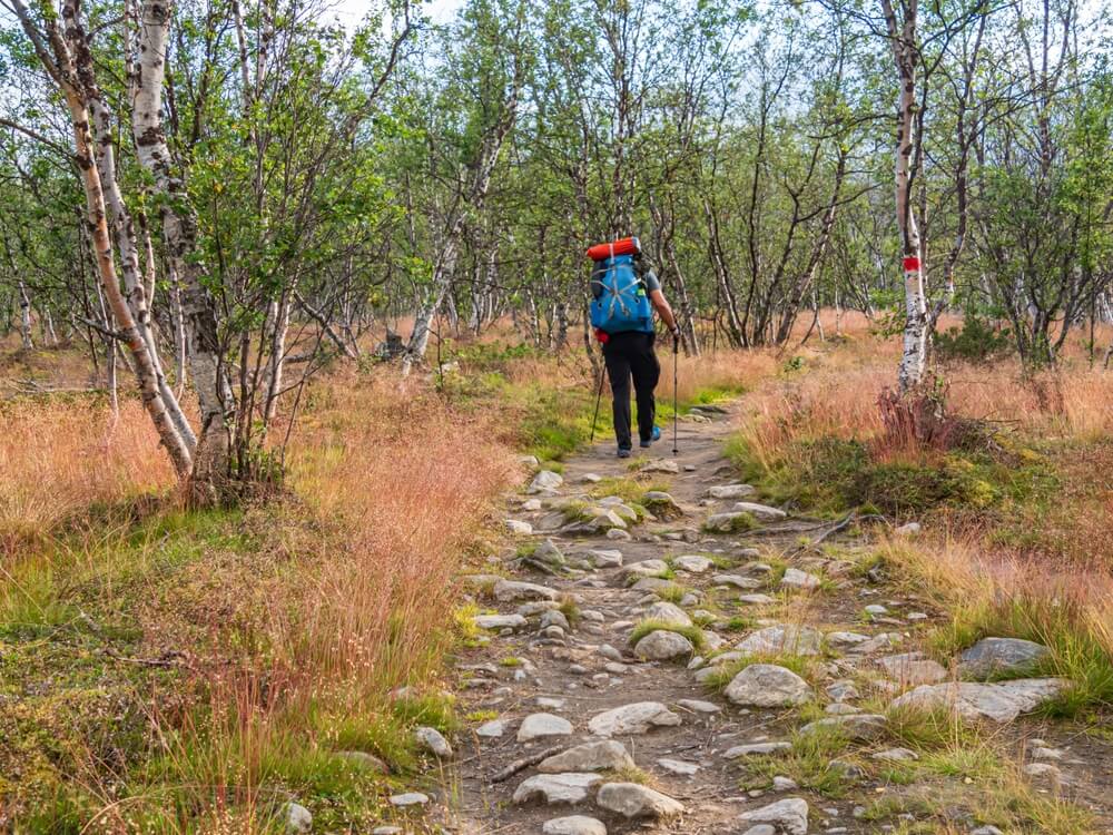 Suivez le Kungsleden pour traverser la nature suédoise ©Shutterstock