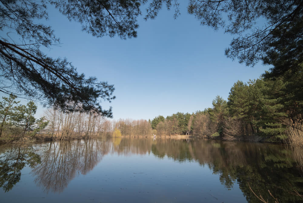 Découvrez la nature, ancienne et sauvage, du Parc national de Tyresta ©Shutterstock