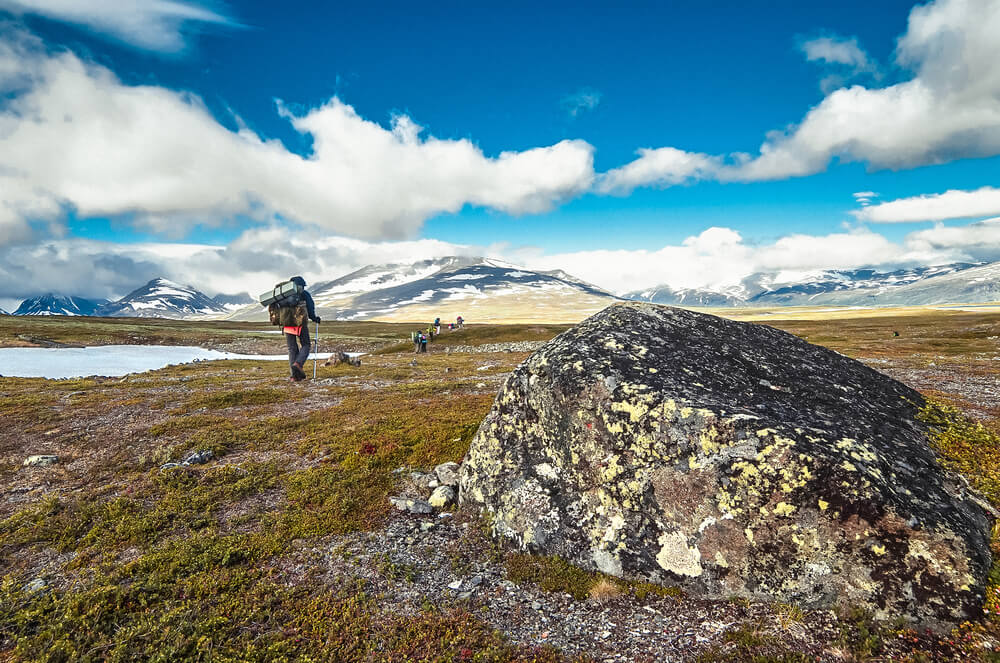 Partez découvrir la nature sauvage du Parc national de Sarek, en Laponie suédoise ©Shutterstock