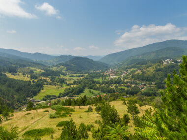 Découvrez un espace naturel au sein du Mokra Gora ©Shutterstock