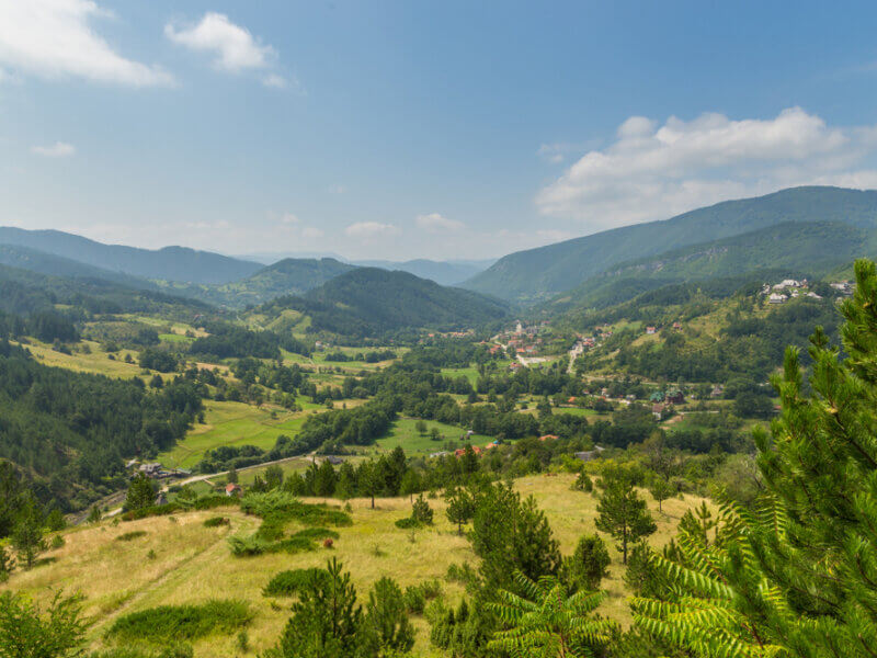 Découvrez un espace naturel au sein du Mokra Gora ©Shutterstock