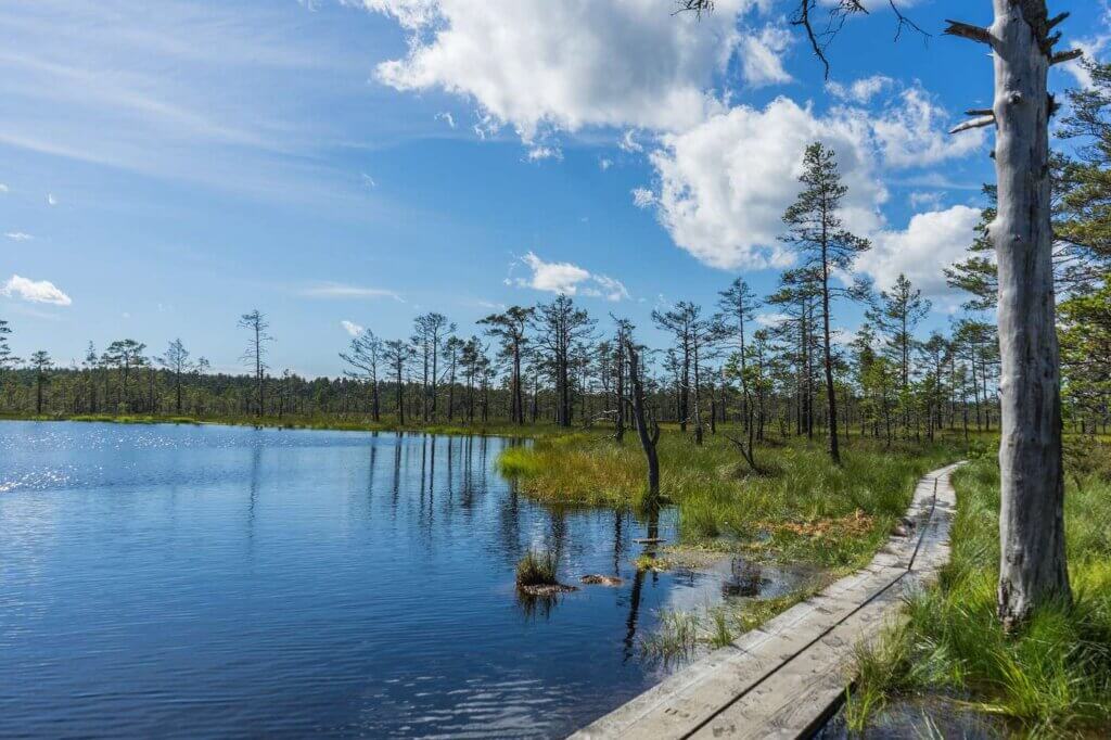 Le parc national de Lahemaa au bord de l'eau ©Voyage Forum