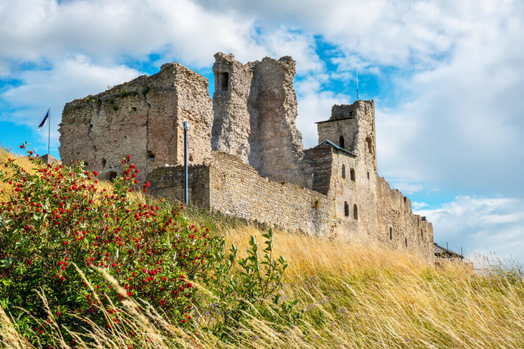 Allez voir les ruines du Château de Rakvere lors de votre séjour en Estonie ©Arsty/Getty Images