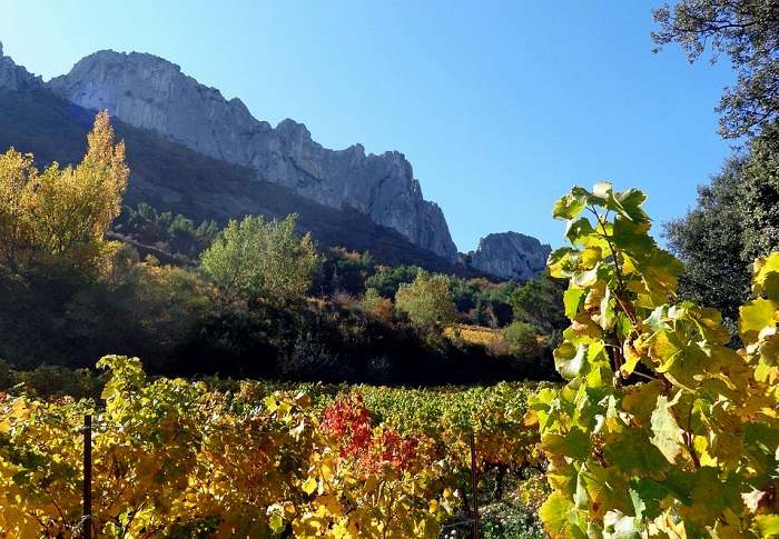 Les Dentelles de Montmirail parmi les plus belles randonnées de Provence © Toploc