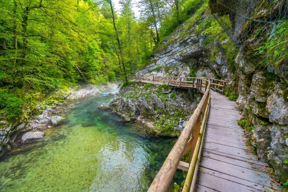 Longez la passerelle en bois des Gorges de Vintgar ©Shutterstock
