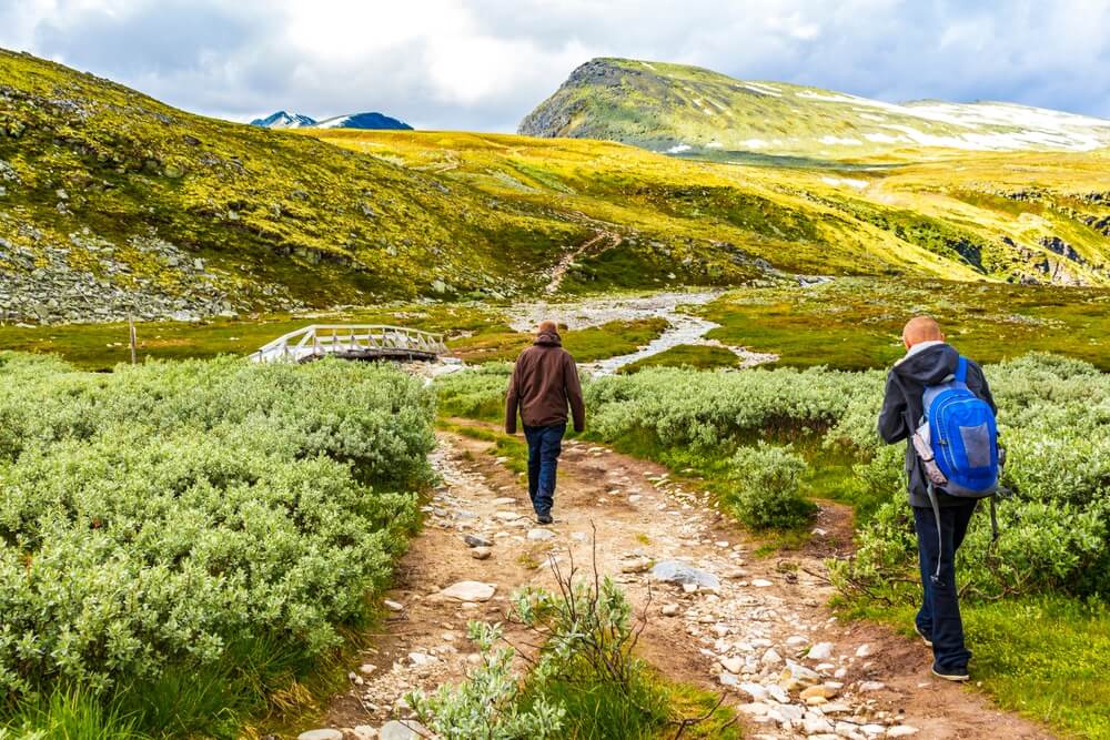 Le Parc national des Rondane et sa nature vivante et verdoyante ©Shutterstock