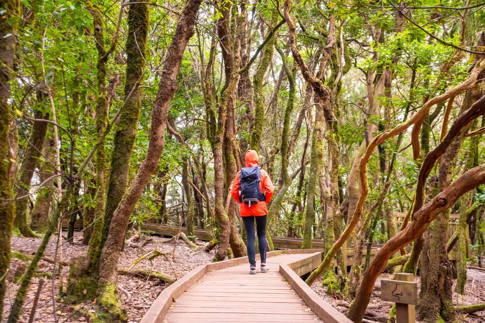 Profitez d'une balade sur le sentier de randonnée dans le parc rural d'Anaga sur Tenerife ©Shutterstock