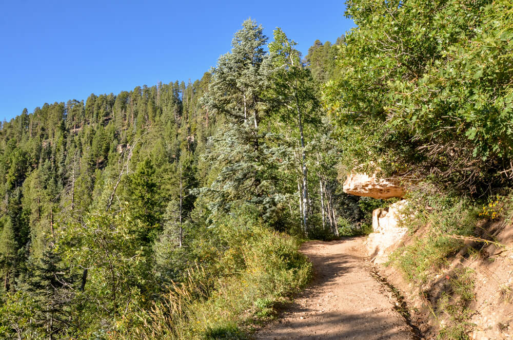 Baladez-vous dans le Parc Naturel de la Corona Forestal ©Shutterstock
