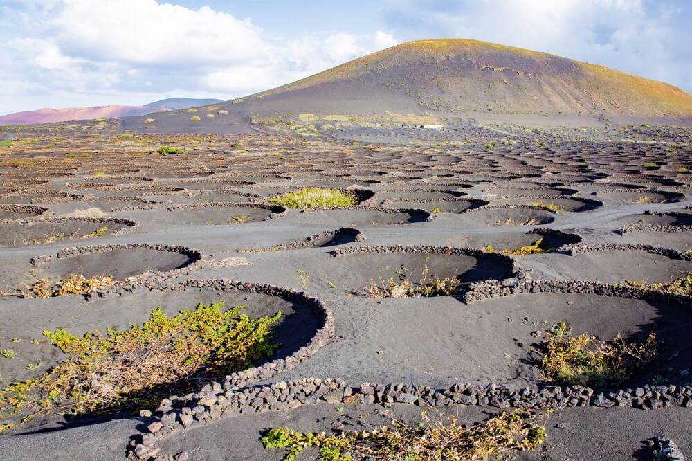 Paysage unique dans la Vallée de la Geria ©Shutterstock