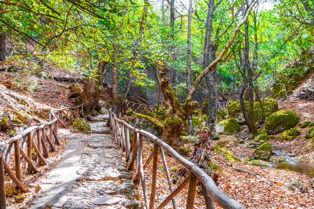 Parcourez la vallée des Papillons dans une nature verdoyante ©Shutterstock