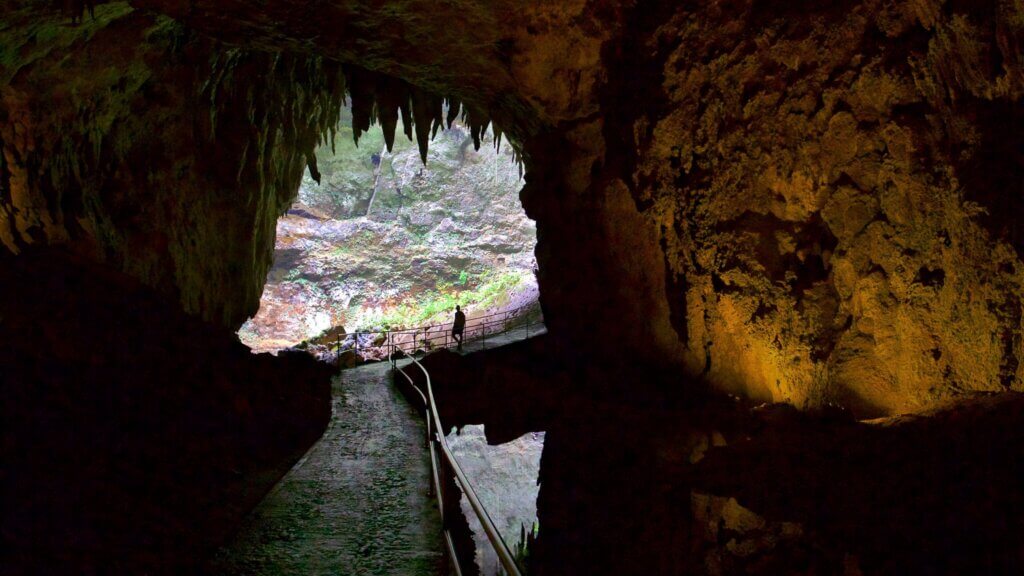 Arpentez le réseau de grottes du Camuy River Cave Park ©Expedia