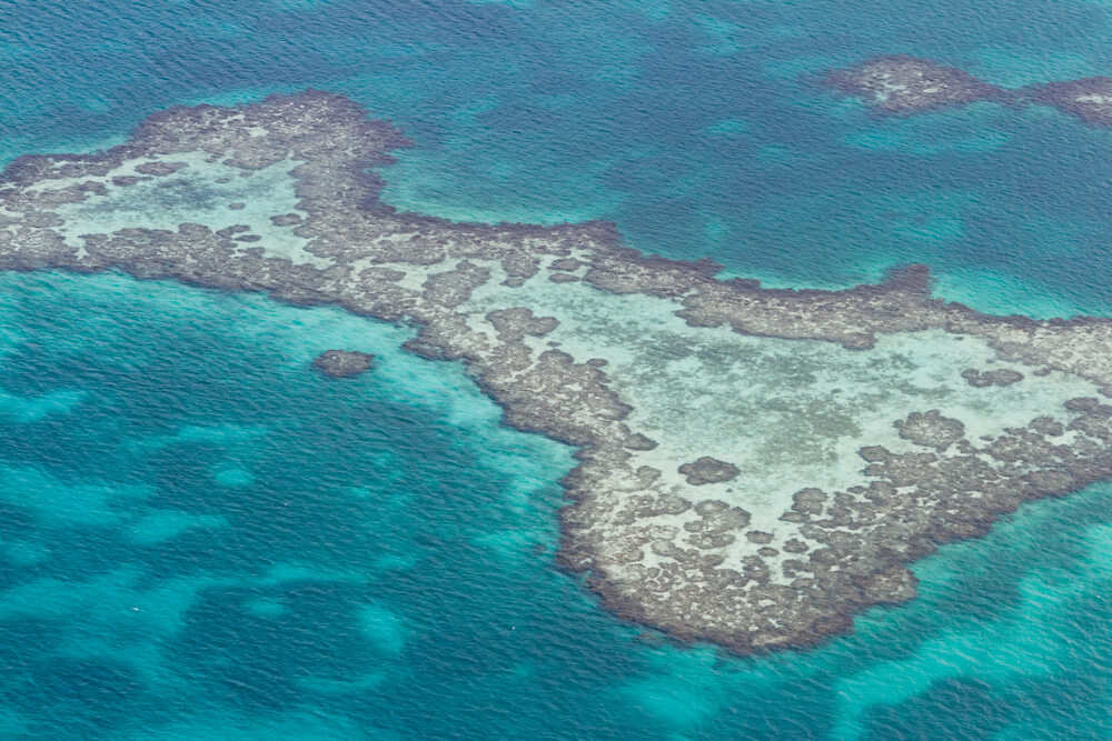 La grande barrière de corail au large du Belize ©Shutterstock