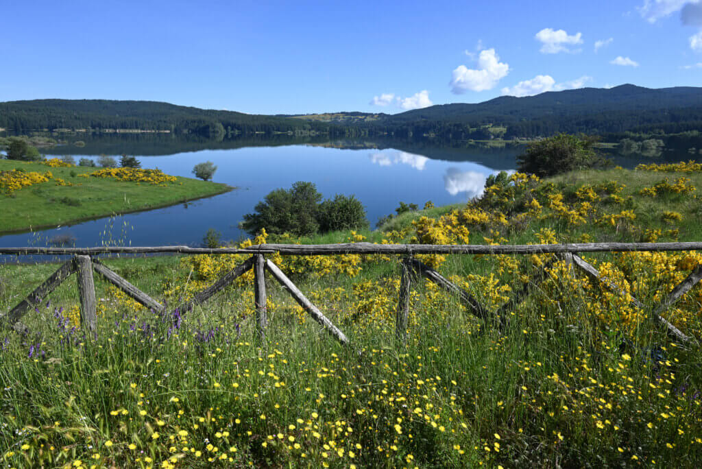 Découvrez le Parc national de la Sila, un espace de nature et de détente au cœur de la Calabre ©Calabria Straordinaria