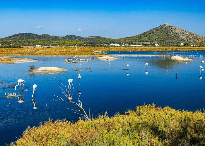 Le Parc naturel de l’Albufera est situé à 30 minutes de Valence © Viator