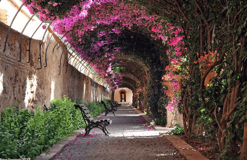 Les Jardins de Monforte sont une oasis romantique © Valencia Experiences