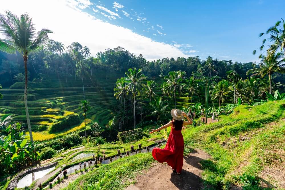 Découvrez le Tegalalang Rice Terrace à Bali ©Shutterstock