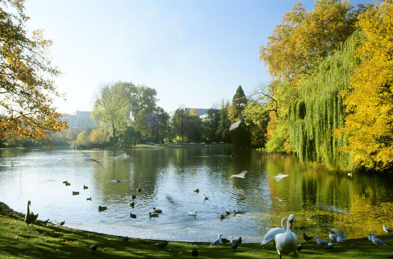 Le parc Hofgarten de Düsseldorf ©Shutterstock