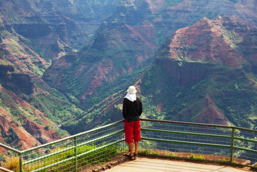 Observez l'impressionnant Waimea Canyon à Hawaï ©Shutterstock