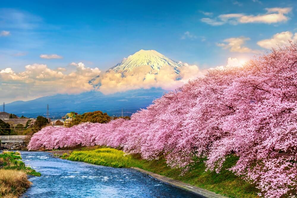 Les 15 choses à voir et à faire pour visiter le Japon