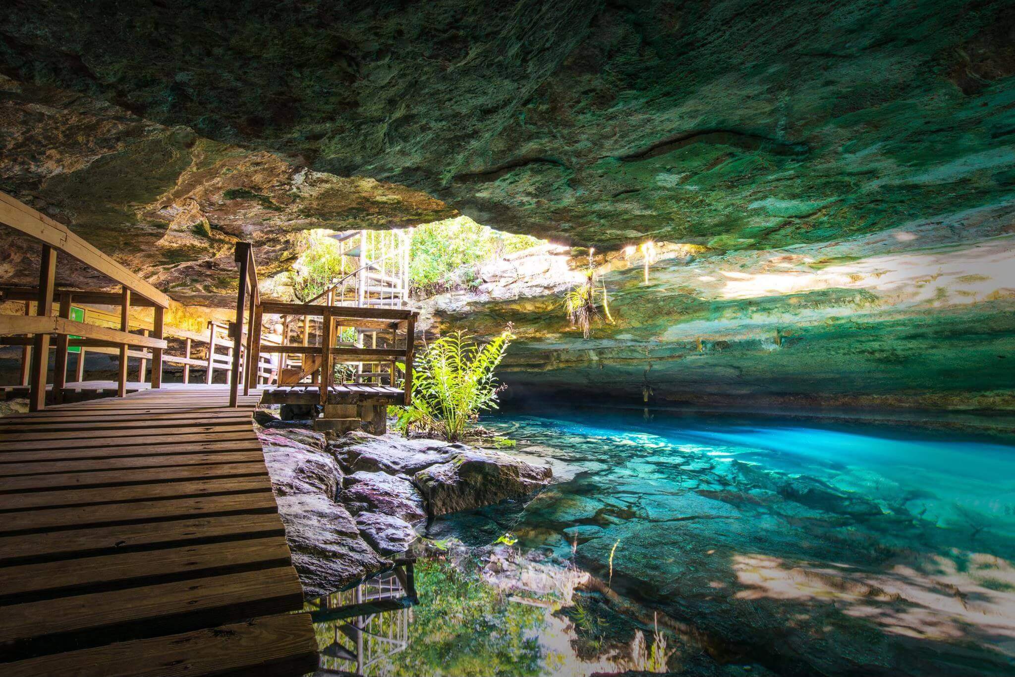 Découvrez des grottes et des mangroves dans le Parc national de Lucayan dans les Bahamas ©Freeport Friends