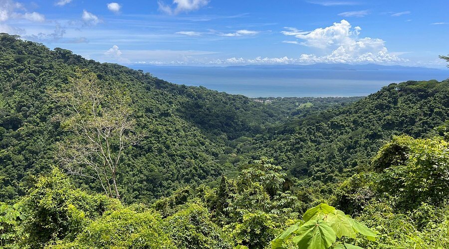 Le parc national de Carara, habitat de plusieurs animaux exotiques et sauvages ©Tripadvisor