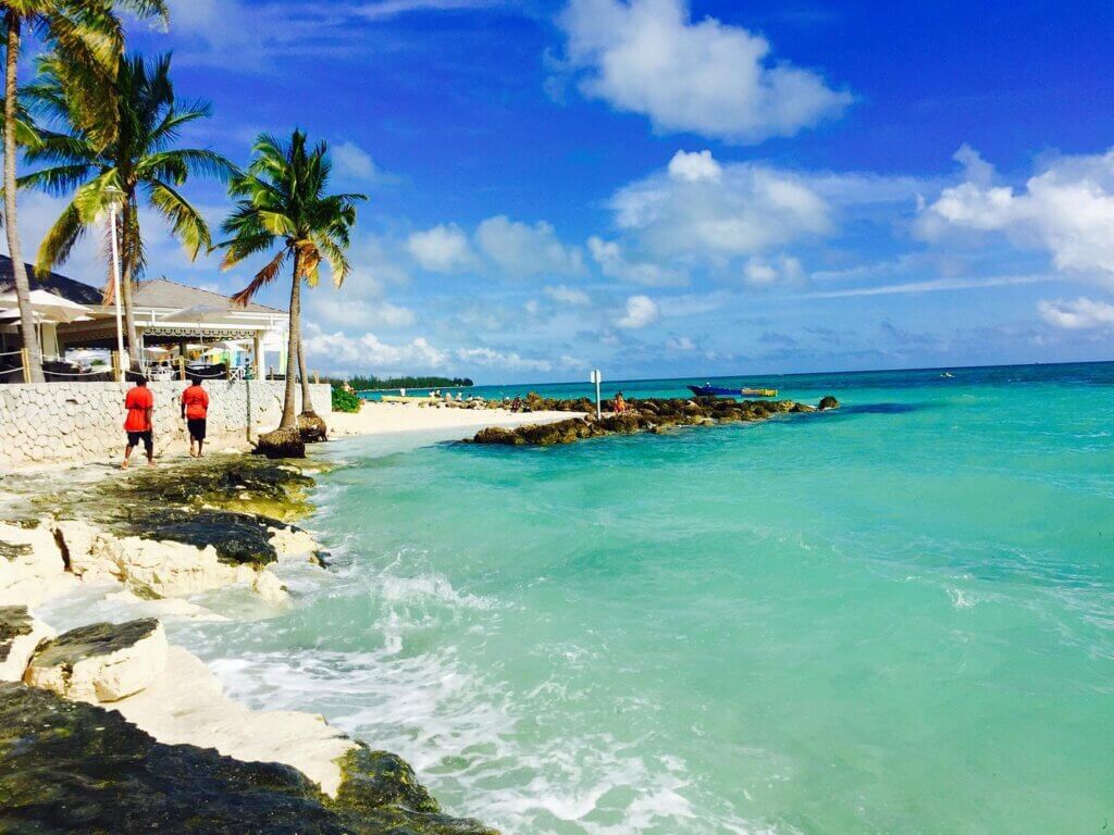Visitez l'île vivante de Grand Bahama ©Tripadvisor