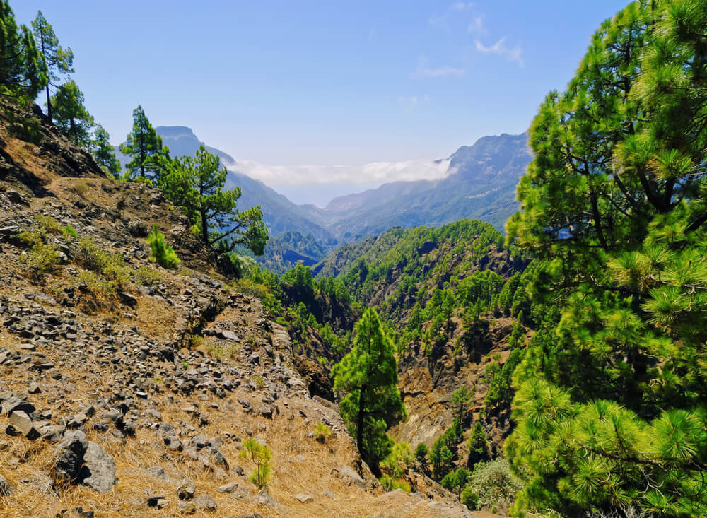 Le parc national de la Caldera de Taburiente sur l'île verte de l'archipel : La Palma ©Shutterstock
