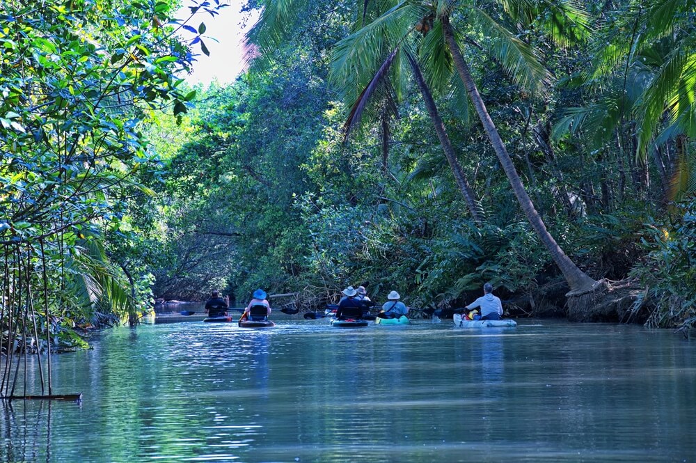 Traversez le Parc Corcovado en kayak sur l'eau ©Shutterstock