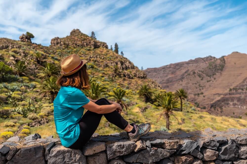 Vue sur les ravins et les falaises de La Gomera ©Shutterstock