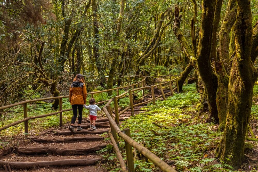 Balade en famille dans e parc national de Garajonay sur l'île de Gomera ©Shutterstock