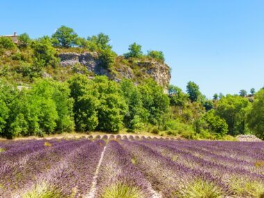 Le décor du Parc Naturel Régional des Baronnies Provençales, entre falaises et champs de lavandes ©Shutterstock