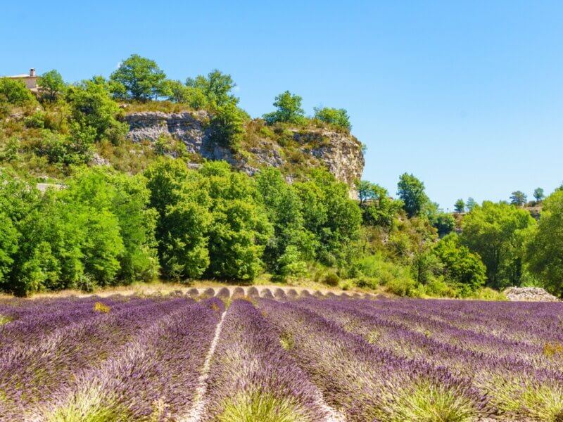 Le décor du Parc Naturel Régional des Baronnies Provençales, entre falaises et champs de lavandes ©Shutterstock