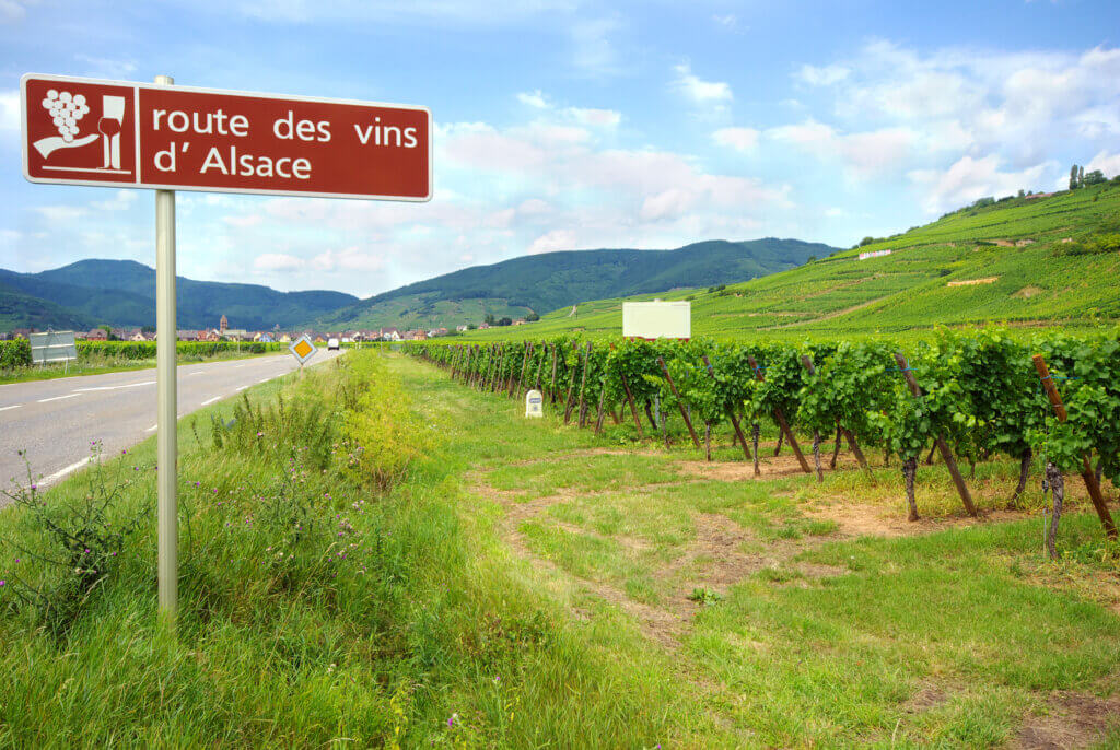 Balade au cœur des vignes en Alsace ©viagemcomcharme.com