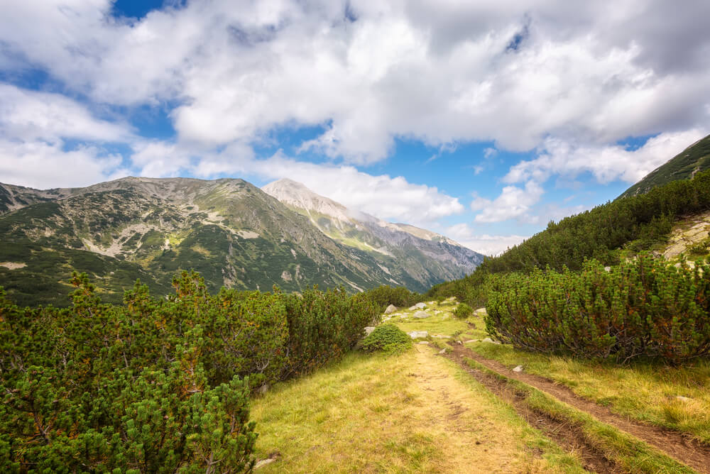 Découvrez le fabuleux Parc National du Pirin en Bulgarie ©Shutterstock