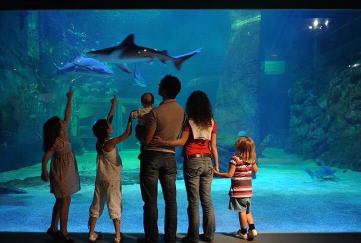 Découvrez la faune marine de Seaquarium ©sortie-famille-gard.com