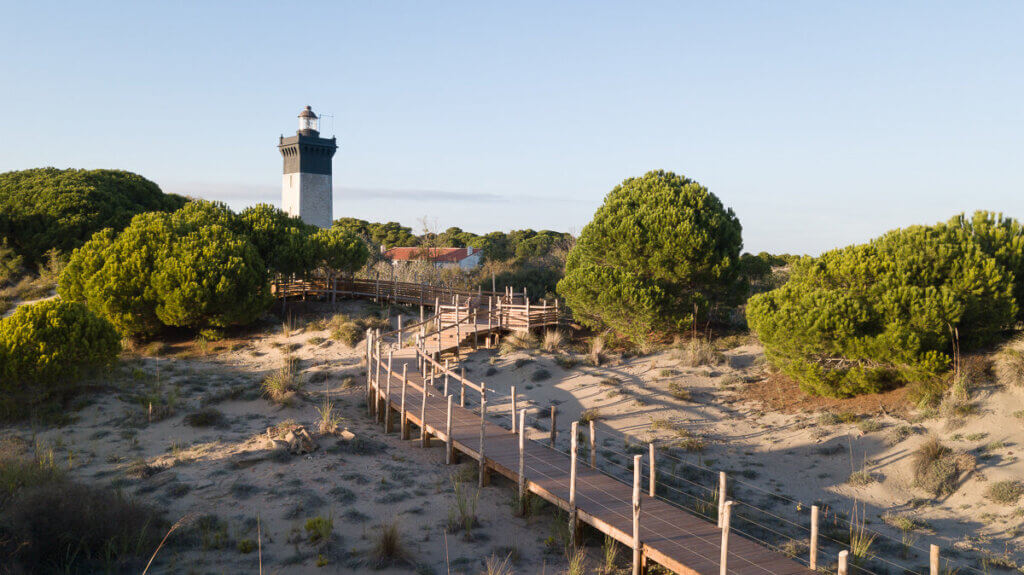 Découvrez le Phare de l'Espiguette ©tourismegard.com