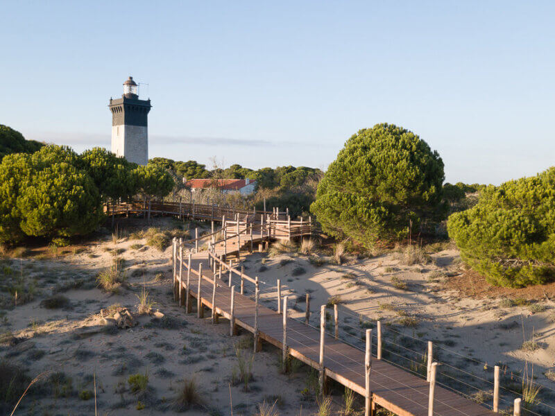 Découvrez le Phare de l'Espiguette ©tourismegard.com