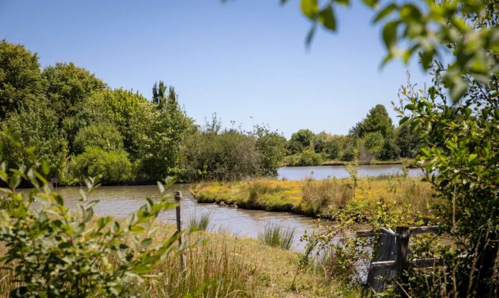 Randonnez au sein de la biodiversité de la Réserve écologique des Barails ©Ville de Bordeaux