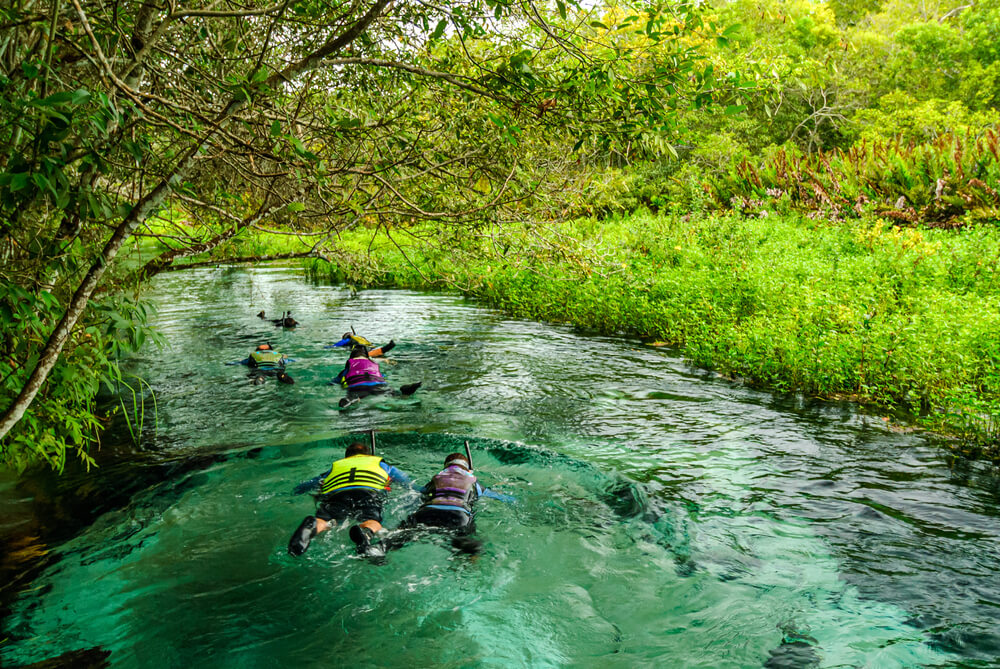 Explorez la nature luxuriante de la région de Bonito au Brésil ©Shutterstock