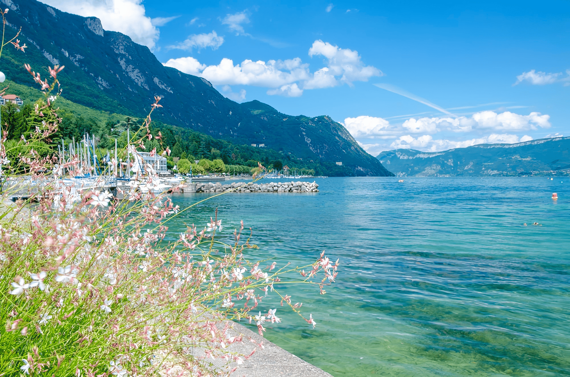 Vue panoramique sur le Lac du Bourget © Shutterstock