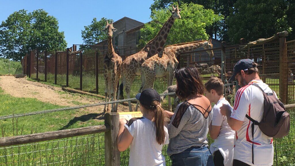 Venez en famille ou entre amis rencontrer les animaux du parc du Reynou ©France 3 Régions