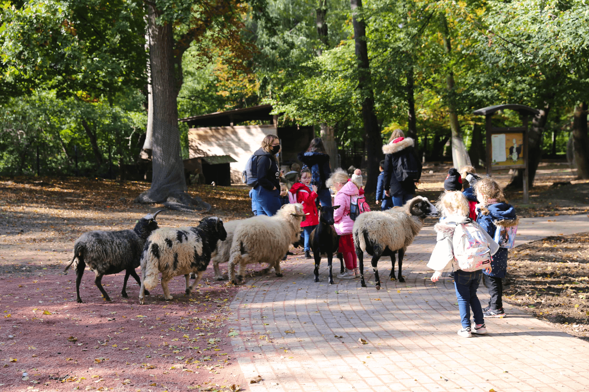 Le Parc animalier Friedel parmi les zoos d'Alsace ©Strasbourg
