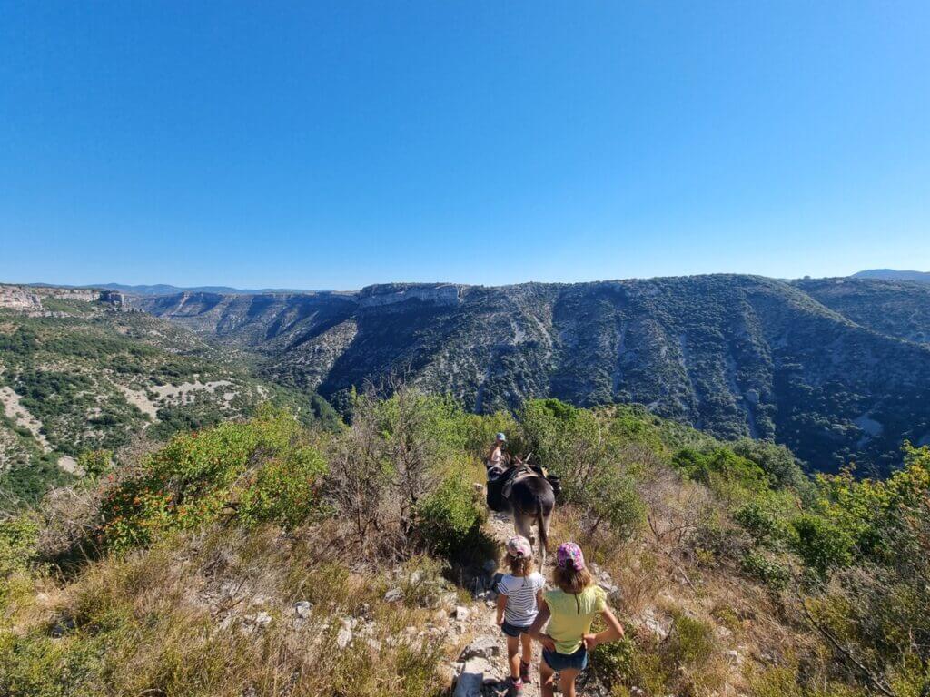 Le Cirque de Navacelles se visite aussi à dos d'âne ©Sherp'Anes