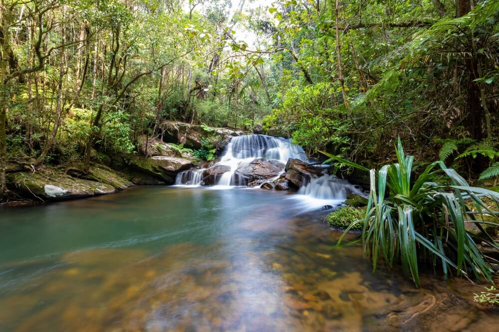 Une cascade dans le Parc national d'Andasibe-Mantadia à Madagascar ©Shutterstock