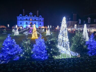 Le marché de Noël de Chilly-Mazarin dans le Parc de l'Hôtel de ville ©Chilly-Mazarin