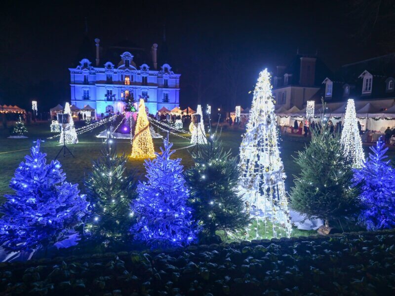Le marché de Noël de Chilly-Mazarin dans le Parc de l'Hôtel de ville ©Chilly-Mazarin